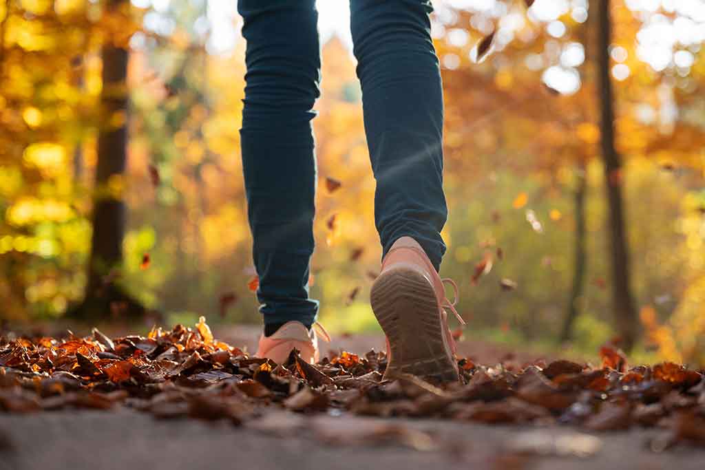 Worms eye view of a person's feet walking on a trail.